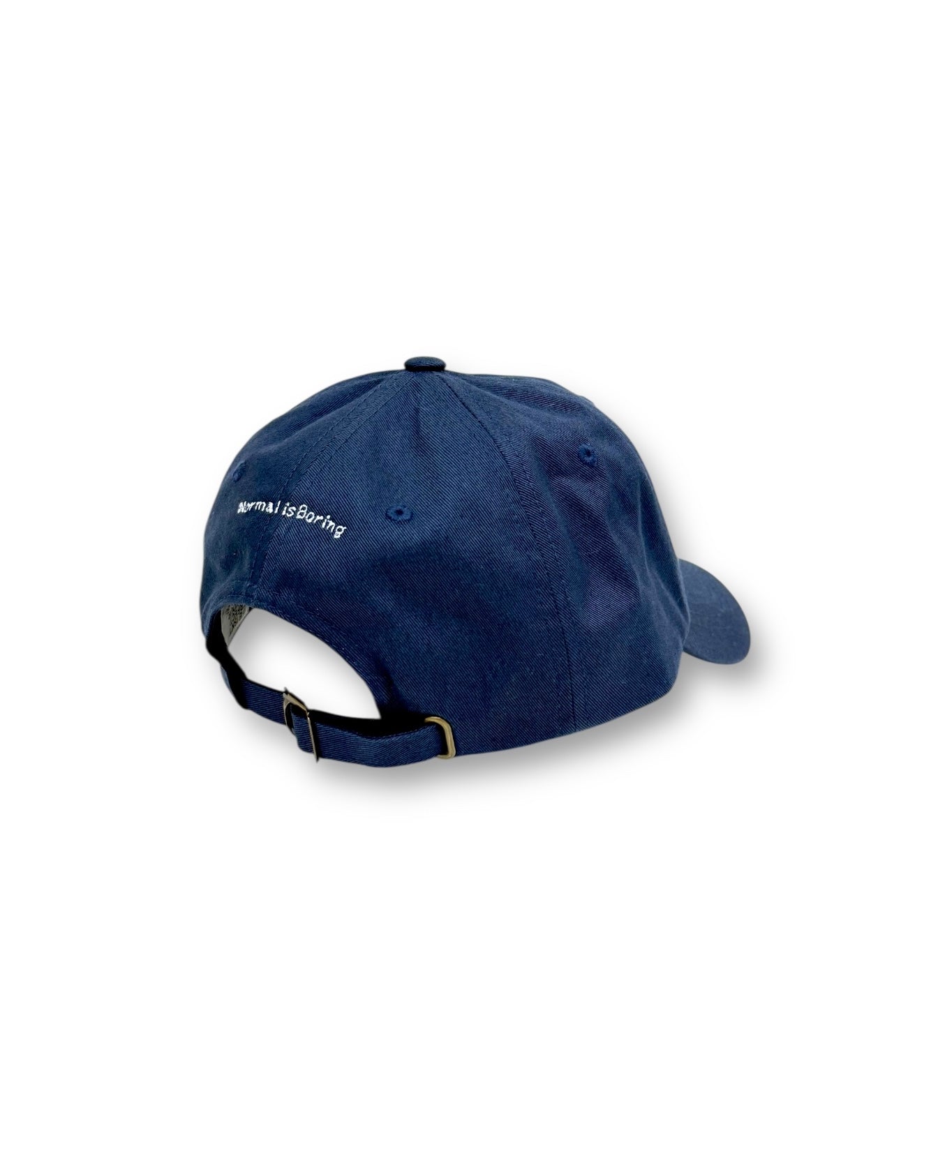 Normal is Boring Cap